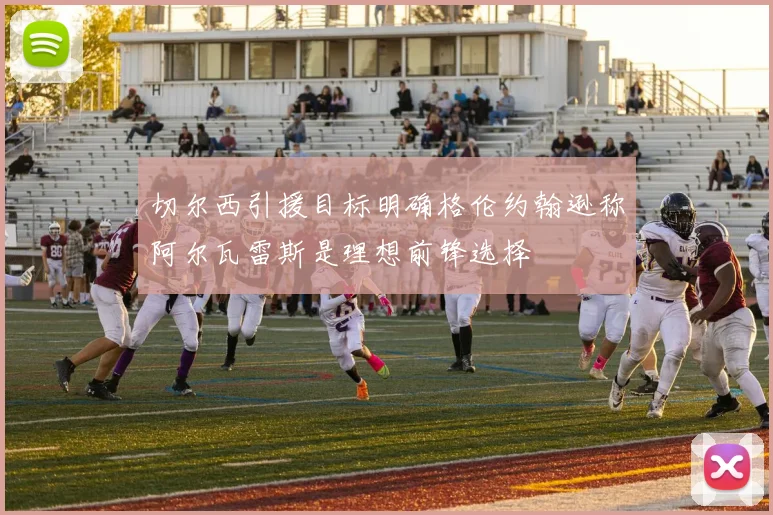 切尔西引援目标明确格伦约翰逊称阿尔瓦雷斯是理想前锋选择