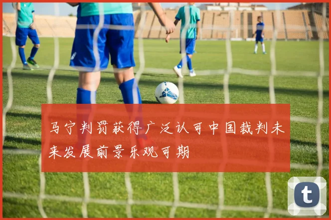 马宁判罚获得广泛认可中国裁判未来发展前景乐观可期